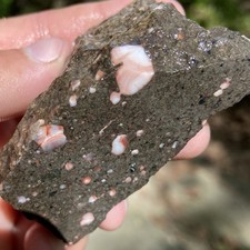 Unique Thomsonite Michigan Lapidary Rough 6.42 Oz picture