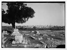Photo:Ramleh Jaffa Palestine 1900s View of Ramleh Ancient Arimathea picture