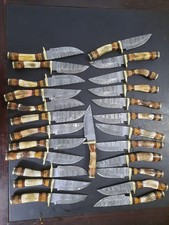 Lot of 10, 8 Inches Handmade Damascus Steel Skinner Knives Stag Handle W/Sheaths picture