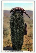 c1920's Two Gila Monster Climbing Barrel Cactus Wild Animals Plants Postcard picture
