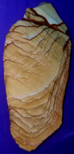 PREMIUM AAA+ Oregon Vistaite Jasper Slab Picture Jasper Rough Cabochon (GeM)#066 picture