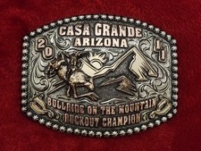 Rodeo X~Treme BULLRIDING Champion☆2011☆Casa Grande Arizon☆Trophy Buckle☆Rare☆401 picture