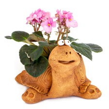 Turtle Planter Terracota Ceramic Indoor Outdoor Planter Clay Plants Pot Tortoise picture