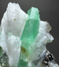 244ct Beryl Var  Natural Emerald Crystal Cluster w.Quartz  Specimen Chitral PAK picture