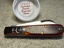 GEC Great Eastern Cutlery 14 TC Barlow Autumn Peach Sawcut Bone Stunning picture