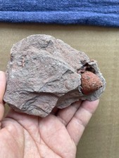 260g Beautiful Red screw in rock Landscape stone picture