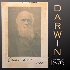 Charles Darwin Signed 1876 Portrait Photograph Linen Rag Paper Autograph picture