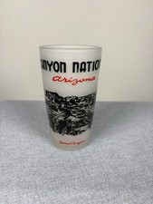 Vintage Grand Canyon National Park Arizona Frosted Glass Souvenir Tumbler picture