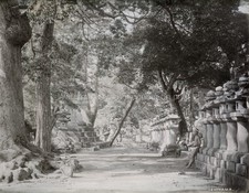Ishiyama Temple Japan Path Lined Stone Lanterns Vtg. Photo 19thC. picture