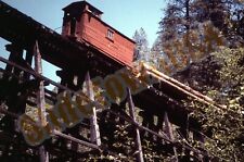 Vtg Train Slide West Side Lumber Co Shay Caboose Railroad Logging Y1D133 picture
