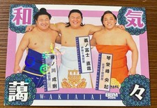 Sumo Card BBM Yoshinofuji Fujinokawa Kotoeiho Collectible Card picture