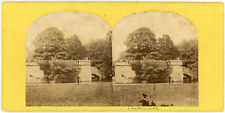 Stereo England, Derbyshire, Chatsworth House near Bakewell, park, circa 1870 Wine picture