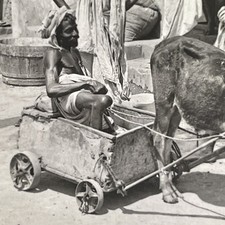 Calcutta India Stereoview Stereo-Travel Co. 1908 Ox Cart Cripple Scene picture