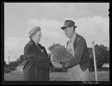 Turlock California PTA Housewife Hands Tomato Plants School Garden 1942 picture