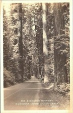 RPPC Redwood Highway California Street Scene in Redwood Forest 1940s picture