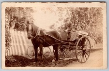 Baker Horse Cart Delivery RPPC Real Photo Postcard Occupational Trade c1910 picture