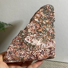 TOP Rare Natural Leopard stone polished Crystal Quartz Tumbled gift 706g h557 picture