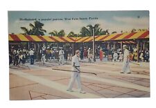1930-45 Vintage Postcard: Shuffleboard, West Palm Beach, Florida picture