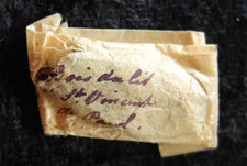 ANTIQUE CATHOLIC POCKET SHRINE RELIC WOOD BED St. VINCENT DE PAUL DEVOTION (Z8) picture