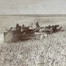 Wheat Harvest Stereoview Keystone View Co. 1901 Washington State Farming picture