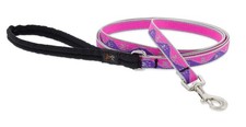Lupine Reflective Dog Leash 6-Foot by 1/2