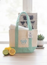 Trader Joe's Mini Pastel Canvas Tote Bag picture
