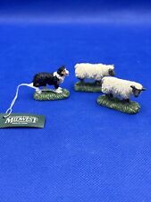 Midwest Cannon Valley Sheepdog With Two Sheep picture
