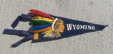 Vintage 1950s Wyoming Souvenir Felt Pennant Mini 11” Native American Chief 50’s picture