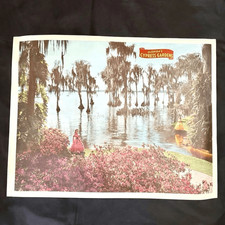 Vintage Florida Cypress Gardens Poster Southern Belle Spanish Moss Art Poster picture