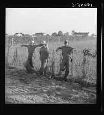 Lake Dick Arkansas 1939 FSA Cooperative Farm Young Farmers Scarecrow Pose picture