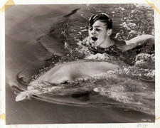 Luke Halpin 8x10 Photo Flipper 1963 Movie Dolphin Swimming MGM Publicity Still picture