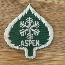 Vintage Aspen Ski Area Leaf Shaped Green & White Snowflake Embroidered NOS Patch picture