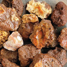 (Baby Malawi) Alimajo Agate Rough  (Price per pound) picture