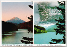 MT St Helens Yale Lake Prior To 1980 Eruption MT St Helens Yale Postcard P-211 picture