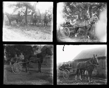 (8x) c. 1910's Horse & Carriage Glass Plate Negatives picture