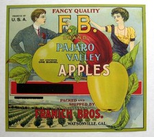 Rare 1910s Victorian Man and Woman Rare Apple Crate Label picture