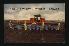 Drilling wheat in Western Canada A man driving a tractor with whe- Old Photo picture