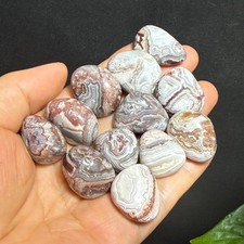 102g 12Pcs Natural Mexican agate Crystal gemstone Tumbled Specimen 07 picture