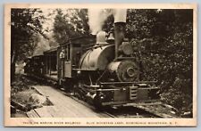 Train on the Marion River Railroad. Blue Mountain Lake New York Postcard picture