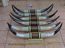 MOUNTED STEER BULL HORNS 3'0
