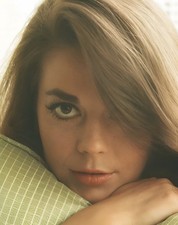 ‘Natalie Wood’ Legendary Actress Famous Celebrity 8X10 Glossy “STUNNING” 1966💋 picture