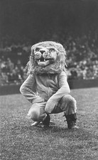 Detroit Lions mascot a 1960s game Tiger Stadium Detroit Michigan Old Photo picture