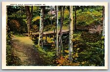 Spruce Wold. Boothbay Harbor, Maine. Vintage Postcard picture