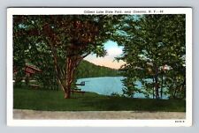 Oneonta NY-New York, Gilbert Lake State Park, Antique Vintage Postcard picture