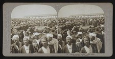 Photo:Upper Egypt Egypt 1904 Live Stock Market Cattle Sheep Crowd picture