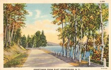 East Greenbush NY Lakeside Road Scenic Linen Postcard Curt Teich 1930s picture