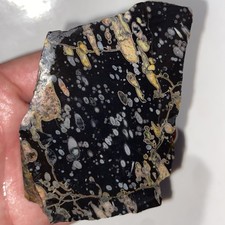 Plum Blossom Rough Stone Rare Lapidary Material 15.76 Oz picture