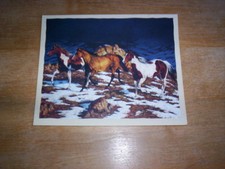 16 Wild Horse Horses Blank Note Cards APPROACHING STORM by Chris Cummings NIB picture
