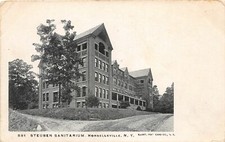 H98/ Hornellsville New York Postcard c1910 Steuben Sanitarium  168 picture