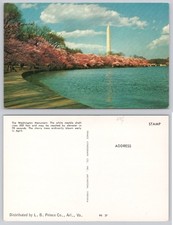 Vintage Washington DC Tidal Basin Cherry Blossoms Washington Monument Linen picture